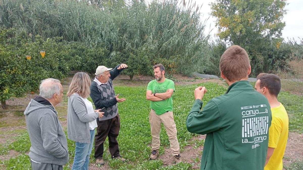 La cesión de terrenos junto al Xúquer en Alberic permitirá crear una zona de laminación de avenidas.