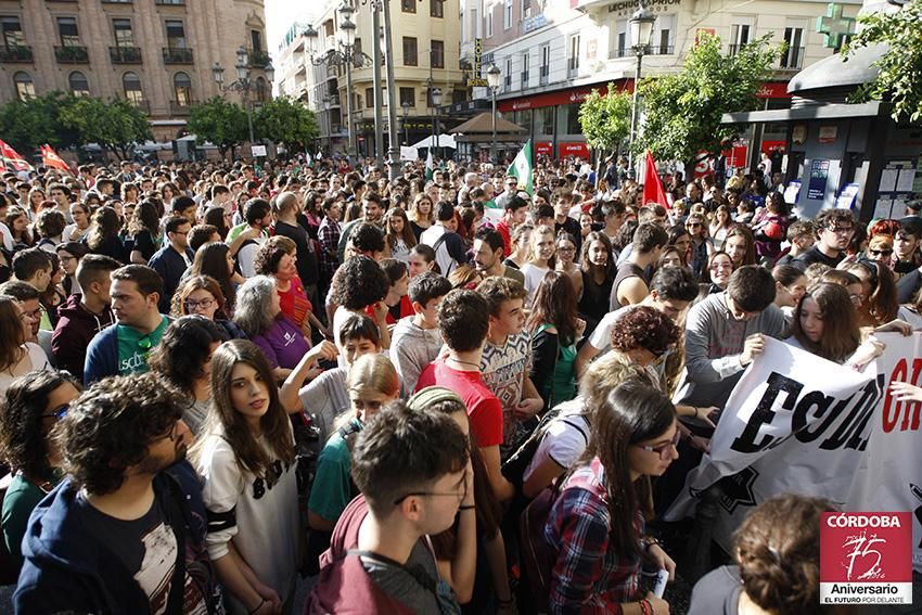 FOTOGALERÍA / Jornada de huelga estudiantil en Córdoba contra la LOMCE