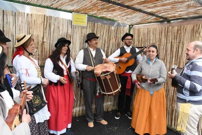 Fiestas del Almendro en Flor en Valsequillo: Día del Turista en Tenteniguada