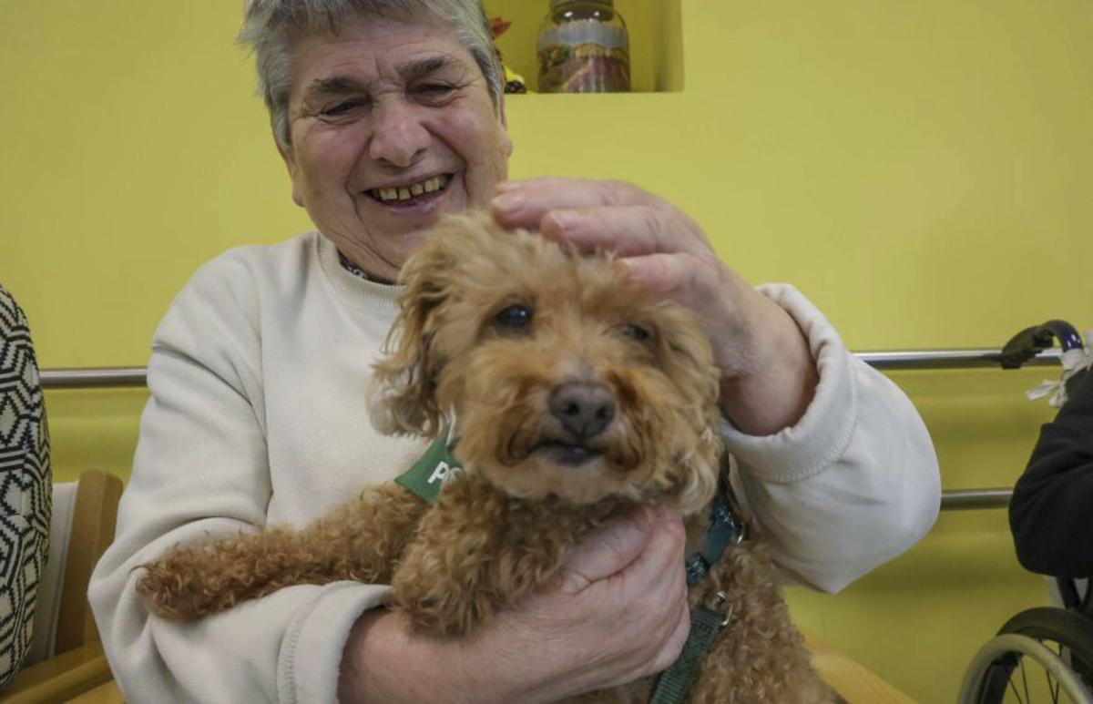 Una cambadesa con otro de los canes. |  Iñaki Abella