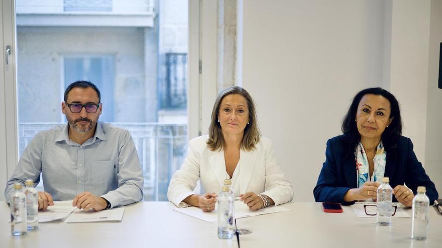 La Diputación de Pontevedra garantiza la financiación para una humanización en Vigo