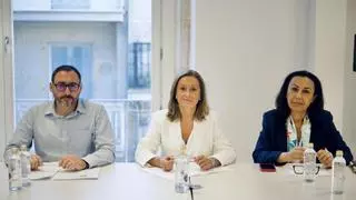 La Diputación de Pontevedra garantiza la financiación para una humanización en Vigo