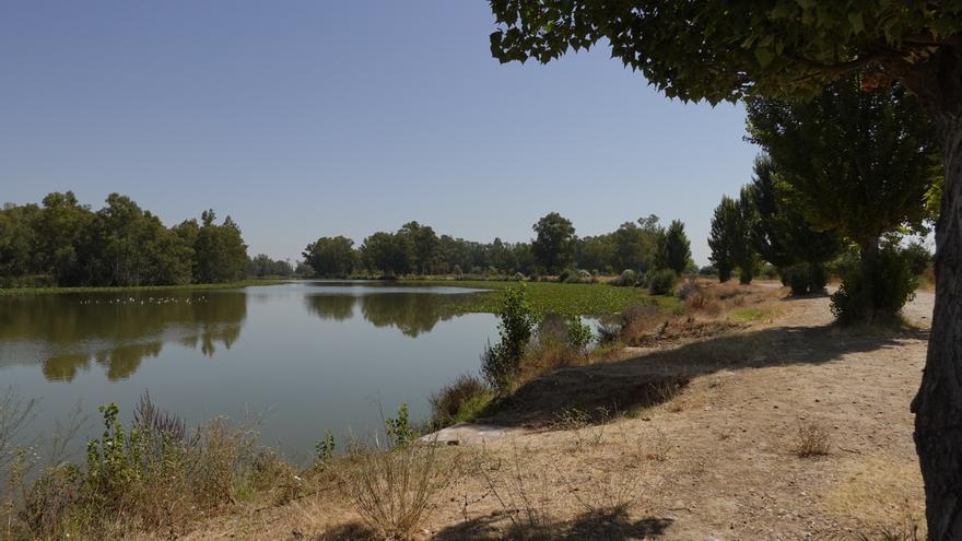 CHG realizará una restauración del río Guadiana en la zona de las Bardocas, en Badajoz