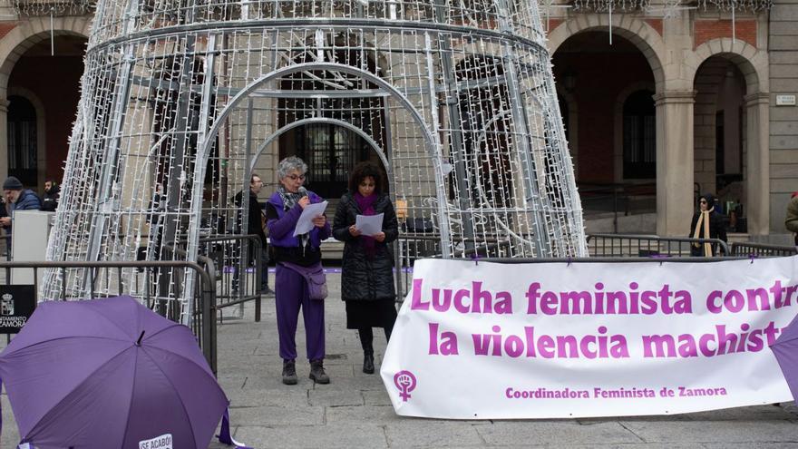 La Coordinadora Feminista de Zamora exige más voluntad y &quot;menos postureo&quot;