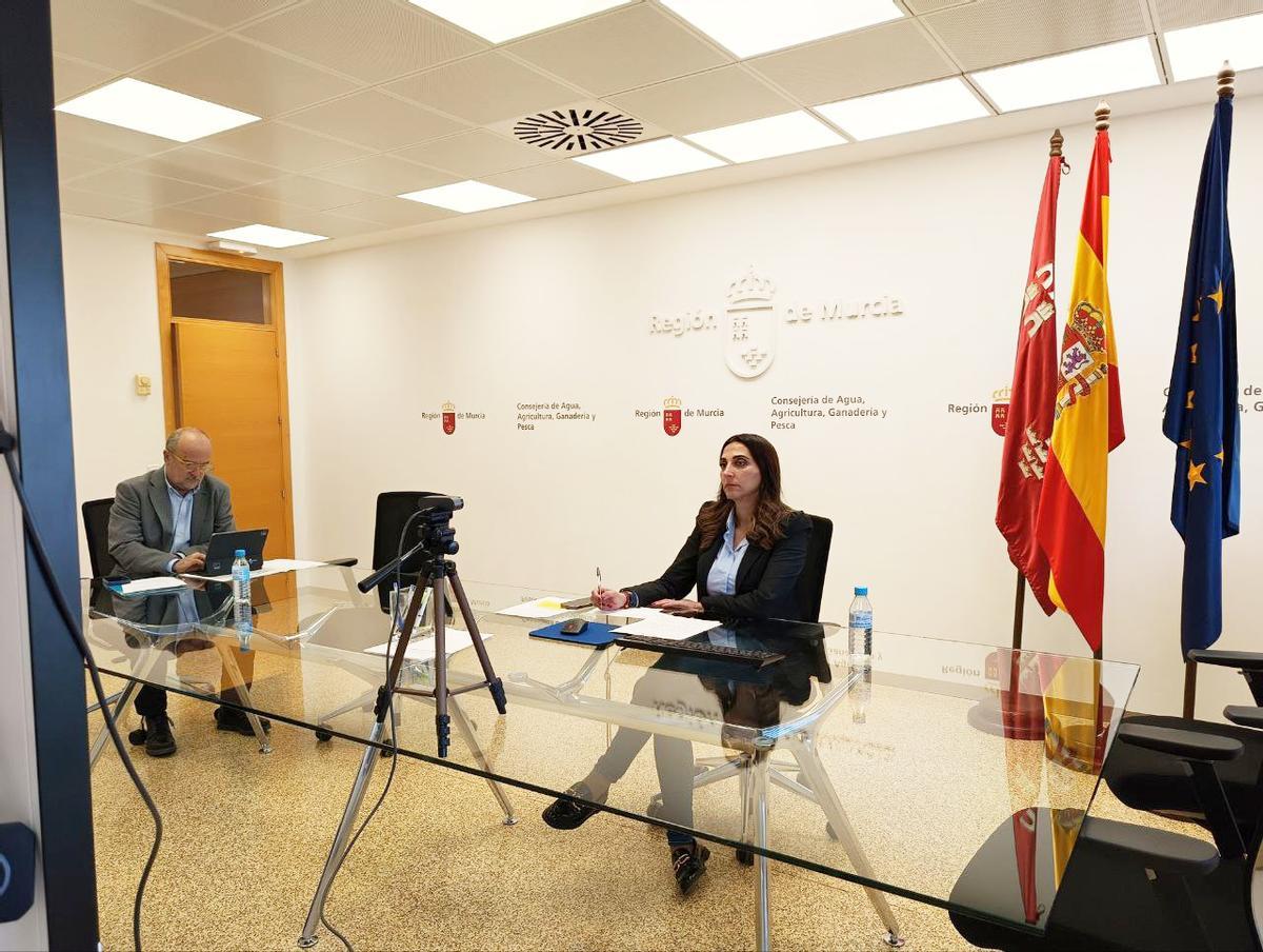 Sara Rubira en el Consejo Consultivo del pasado lunes.