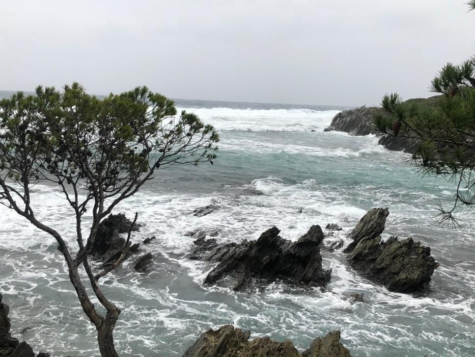 Temporal de llevant a Cadaqués