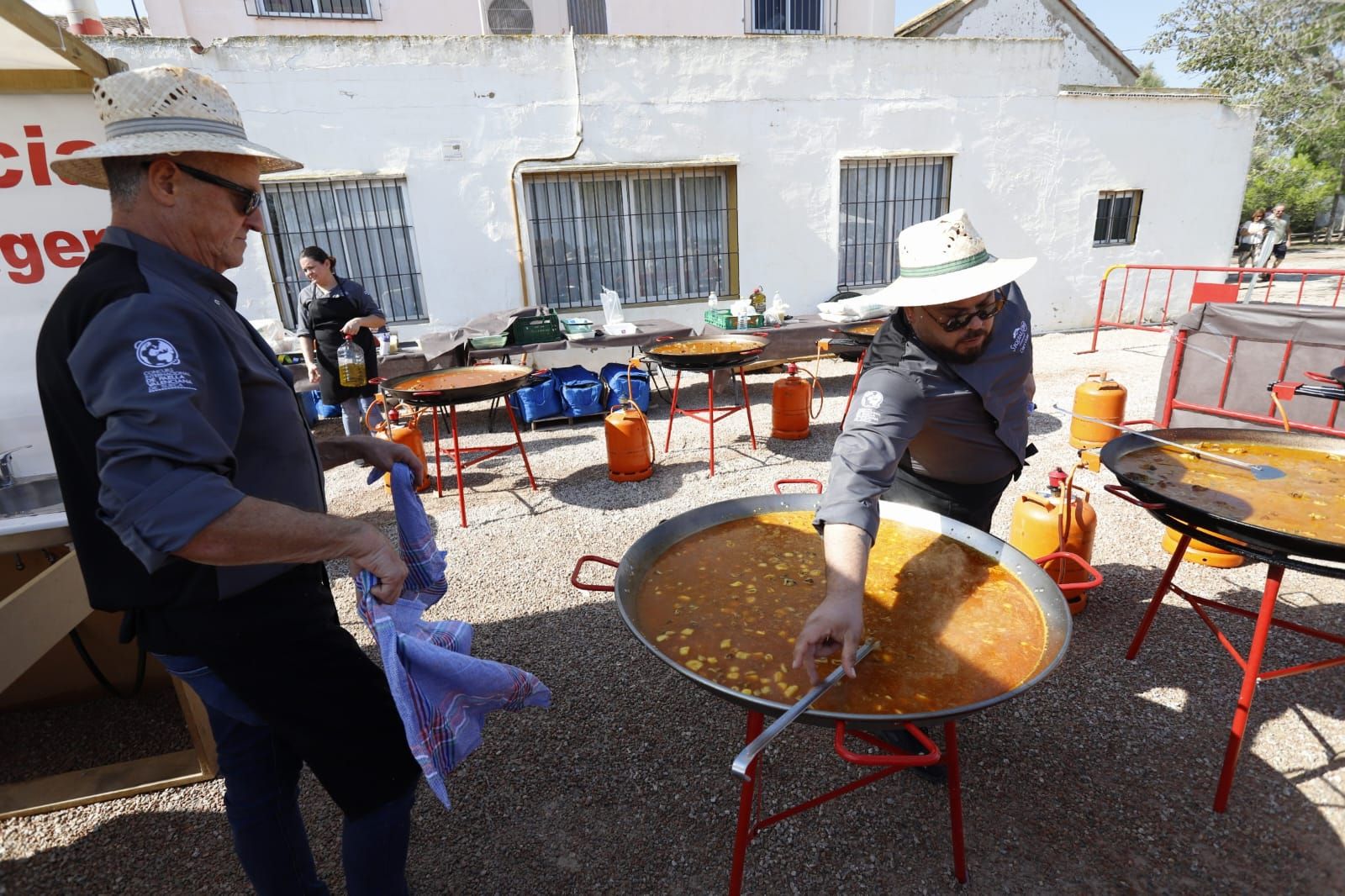 Todas las imágenes de la Fiesta de la Siega del Arroz 2024