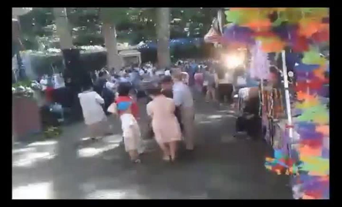 Doce muertos al caer un árbol en Madeira.