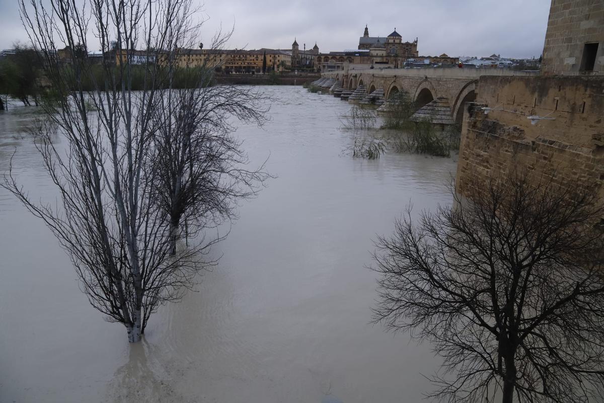 Crecida del río Guadalquivir a su paso por Córdoba, bajo el Puente Romano, y junto a la Calahorra.