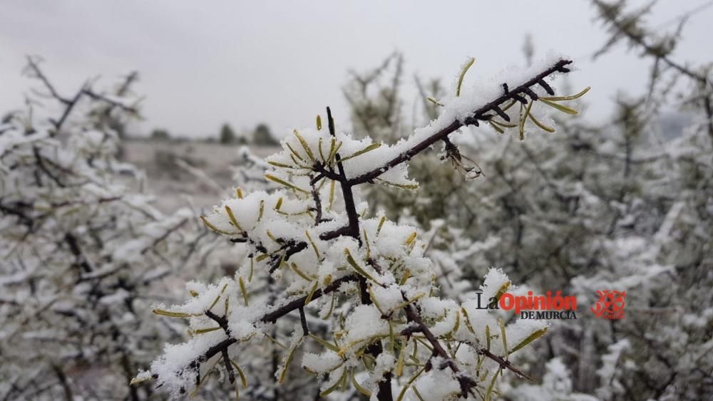 Nieve en el Altiplano murciano