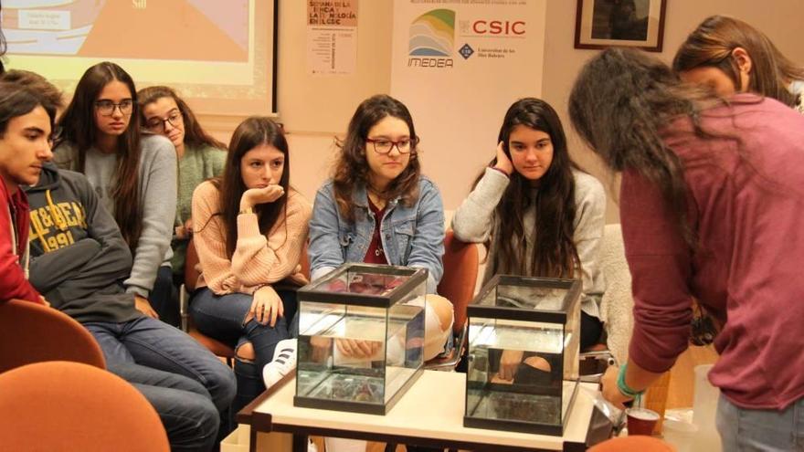 Més de 400 alumnes han participat a la Setmana de la Ciència i la Tecnologia