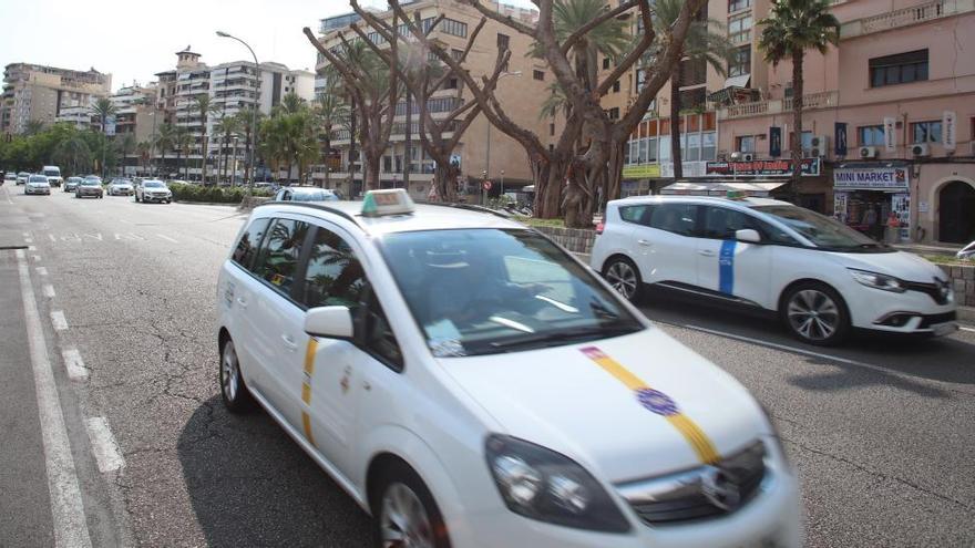 Dos taxis circulan por el paseo MarÃ­timo de Palma.