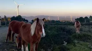 Las otras caras de la eólica gallega