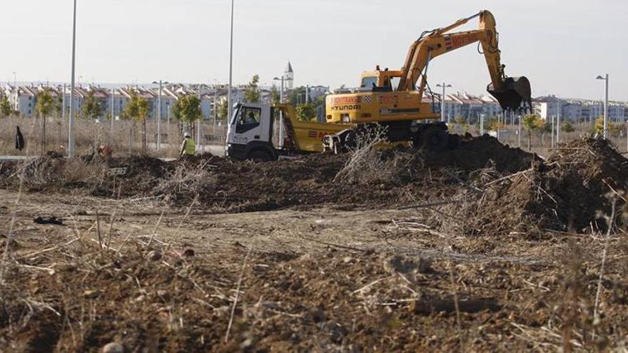 Primeros trabajos en Huerta de Santa Isabel