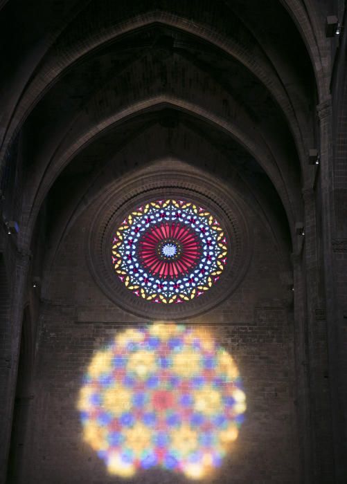 Die Sonne hat mitgespielt: Am Freitagmorgen (11.11.) zog die magische Acht in der Kathedrale von Palma Einheimische wie Mallorca-Urlauber in ihren Bann.