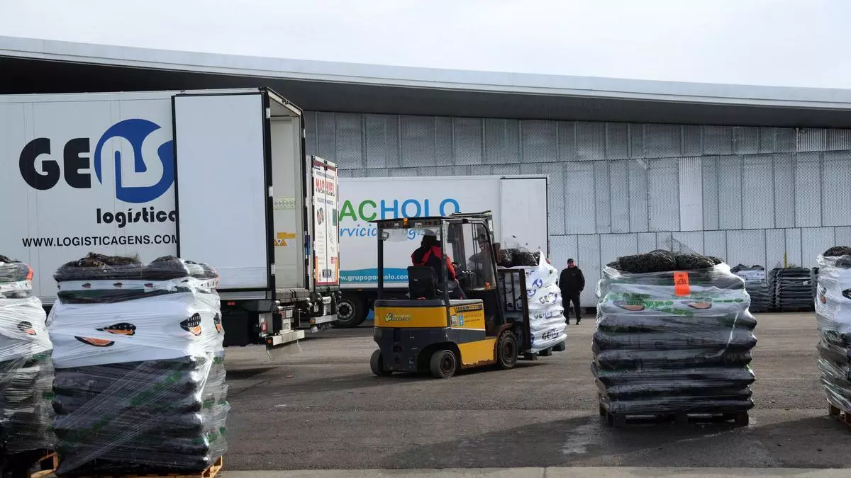 Los disturbios en Francia y la huelga del transporte en Italia golpean con fuerza las exportaciones de mejillón