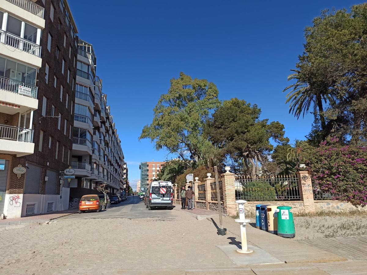 Imagen de una de las calles que delimitan el plan. En el centro, uno de los eucaliptus que desaparecen