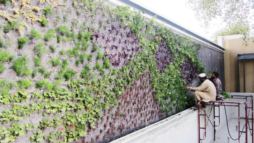 El botánico alicantino Ignacio Solano culmina un jardín vertical en Ryad