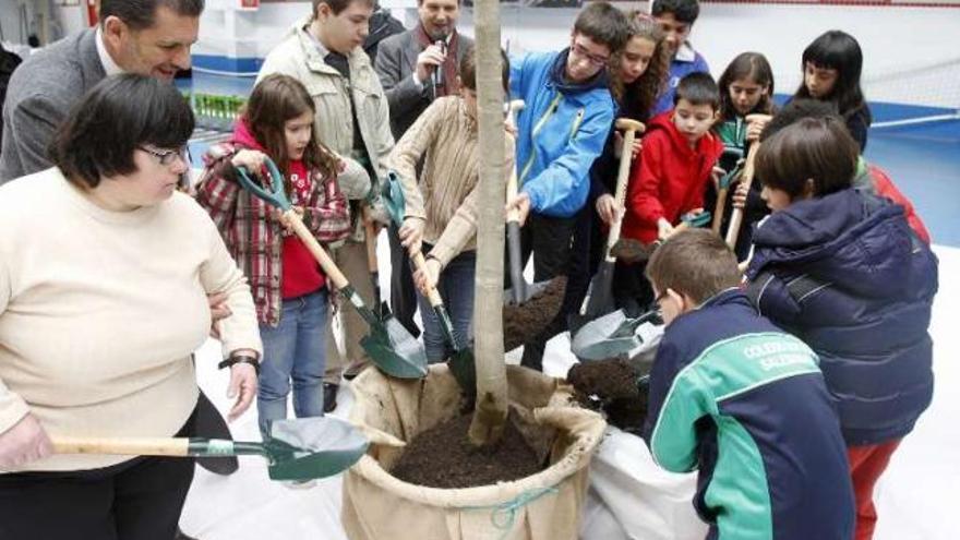 Varios escolares plantaron simbólicamente un árbol en el pabellón de Coia.  // José Lores