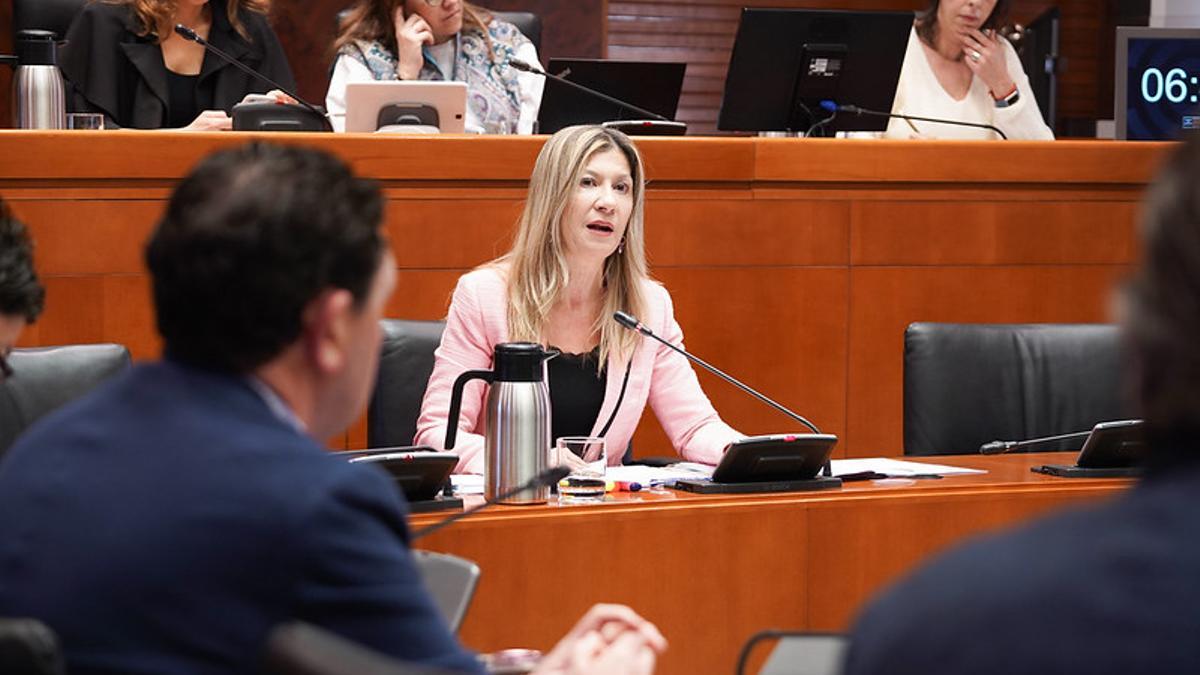La vicepresidenta de Aragón, Mar Vaquero, este lunes en su comparencia en las Cortes.