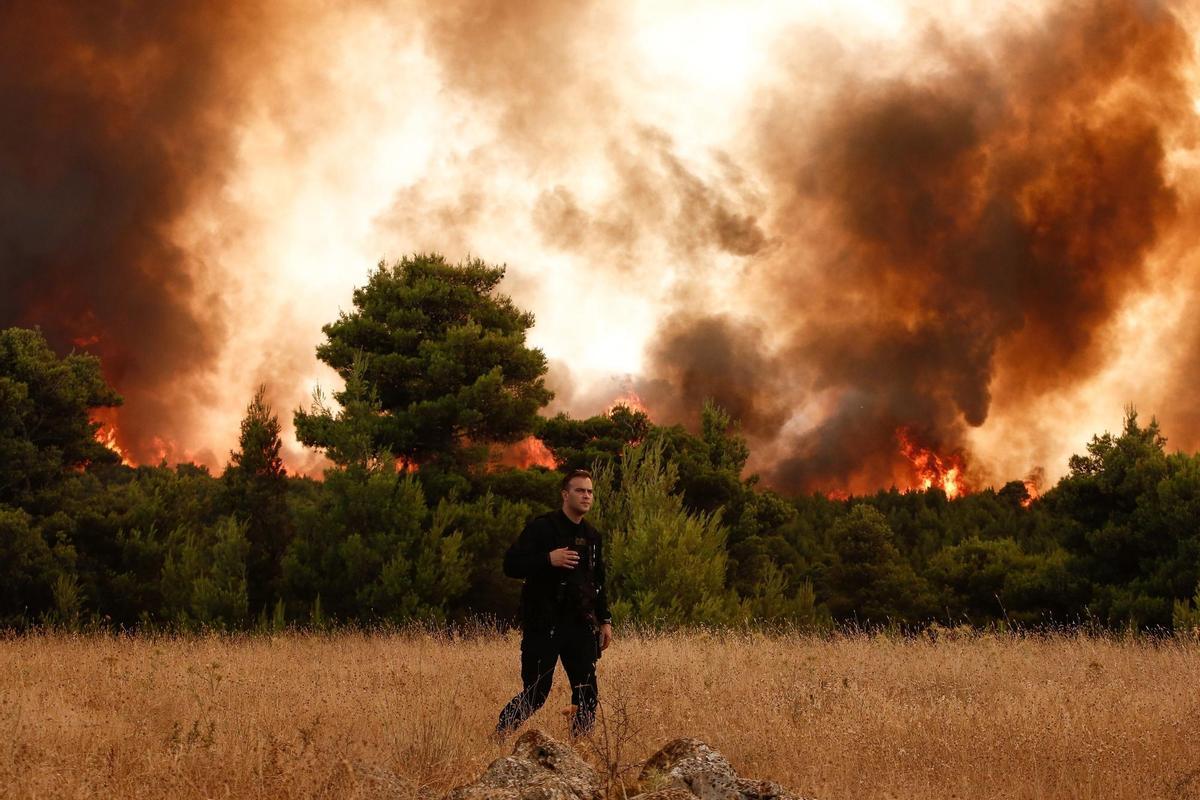 Incendio forestal