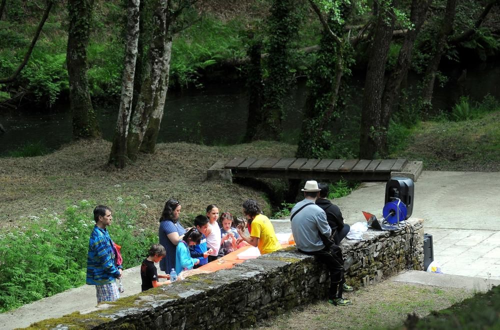 Día Mundial del Medio Ambiente en Lalín