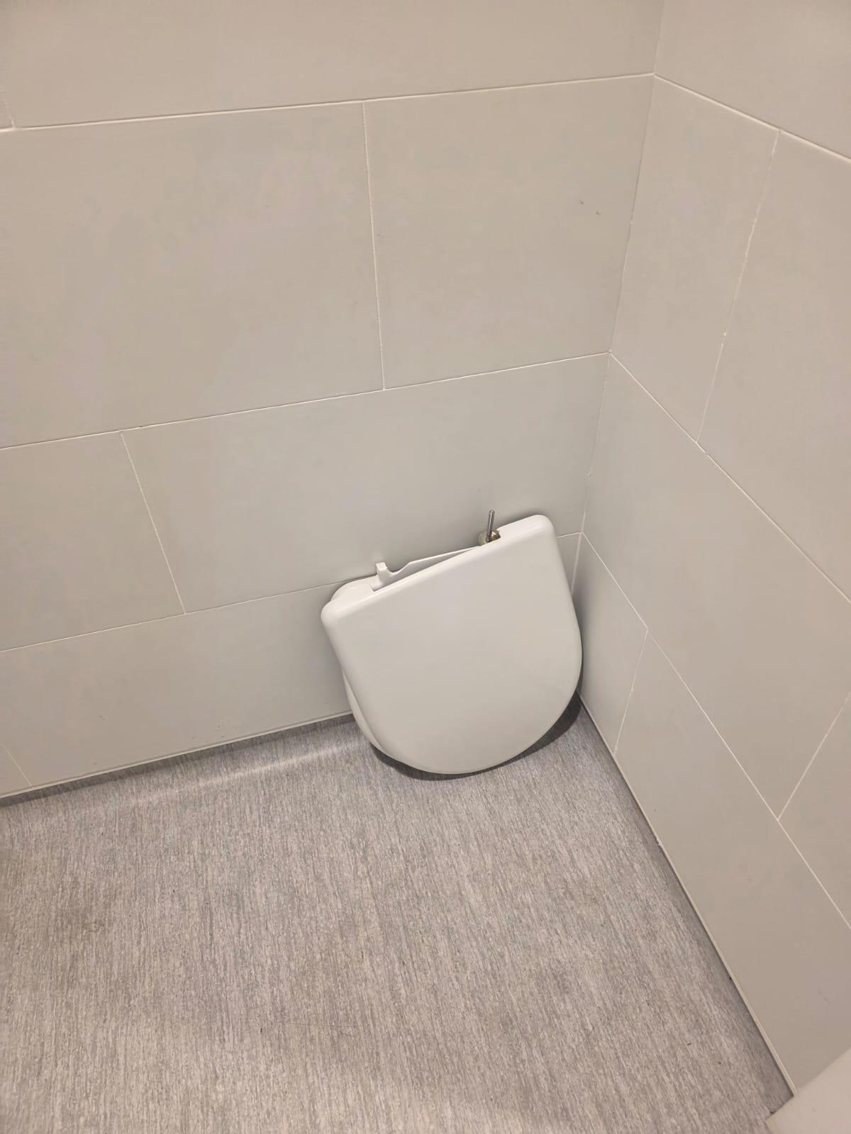 La tapa del WC arrancada y lanzada indiscriminadamente a una esquina del baño.