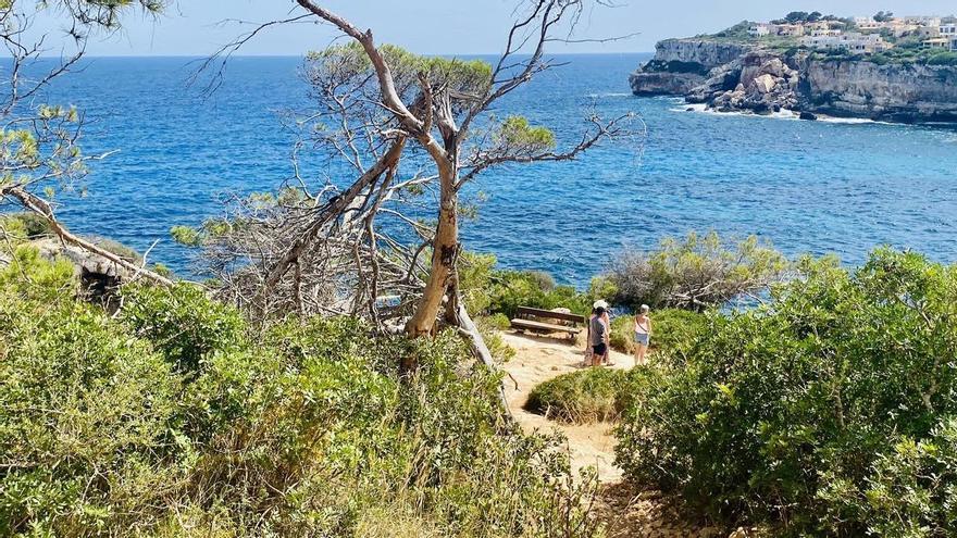 Nach dem traumhaften Wochenende: Das Wetter auf Mallorca wird wechselhaft