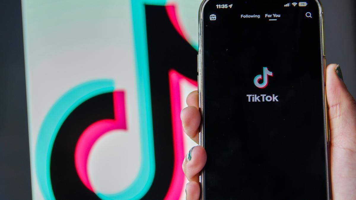 Captura de la red social TikTok