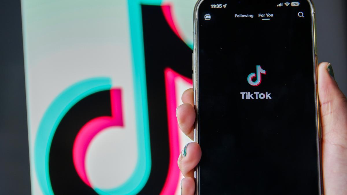 Captura de la red social TikTok.