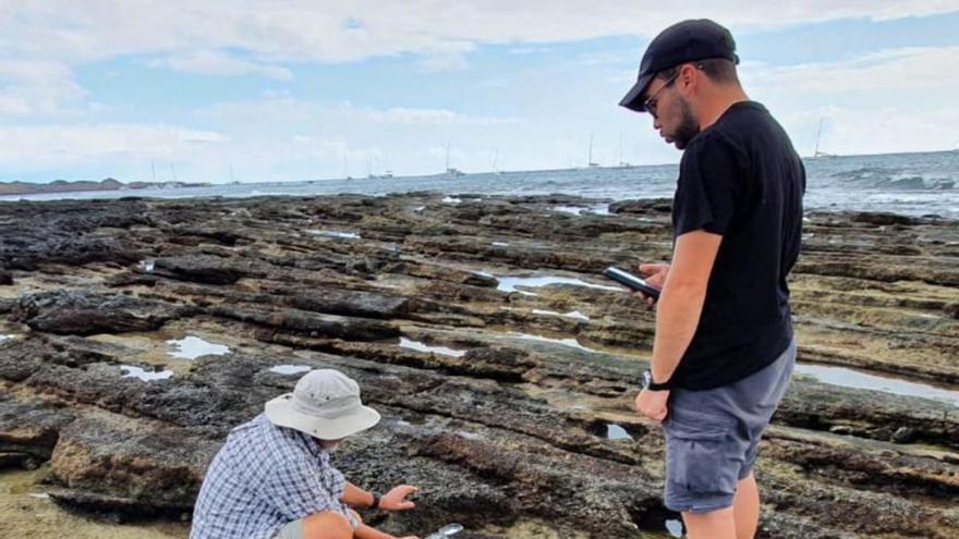 Una quincena de expertos en  paleontología estudia varios  yacimientos marinos de la Isla