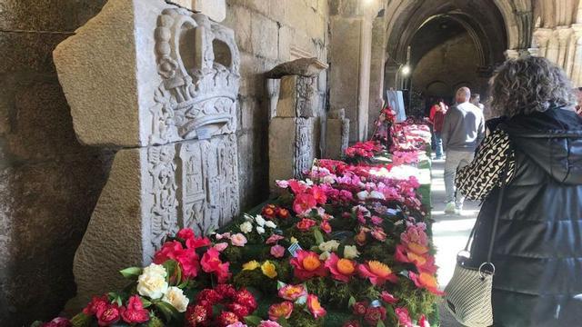 Visitantes, ayer, en la exposición de camelia en la catedral de Tui.