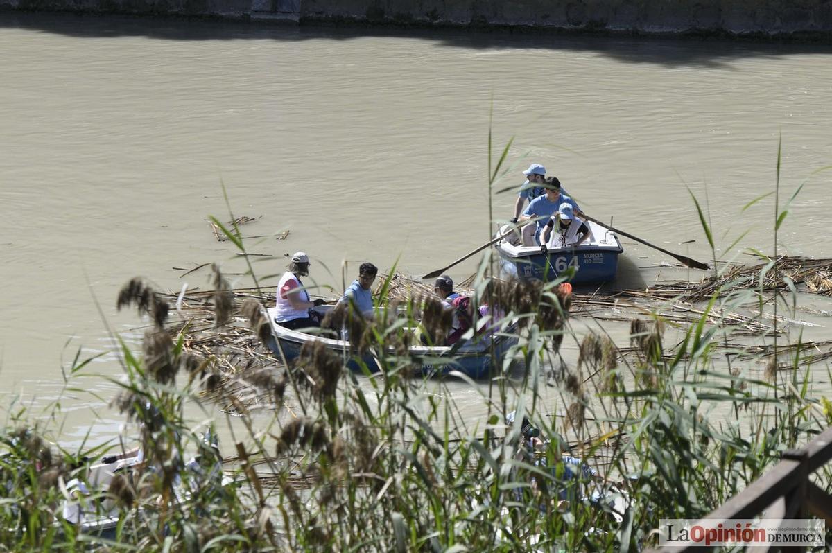 Todas las imágenes del reto de limpieza del río Segura en Murcia