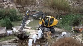 La Confederación Hidrográfica recoge 8 toneladas de basura en el azud de Alfeitamí en Almoradí