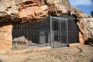 Un recurso anula la adjudicación de la réplica de la cueva de Maltravieso