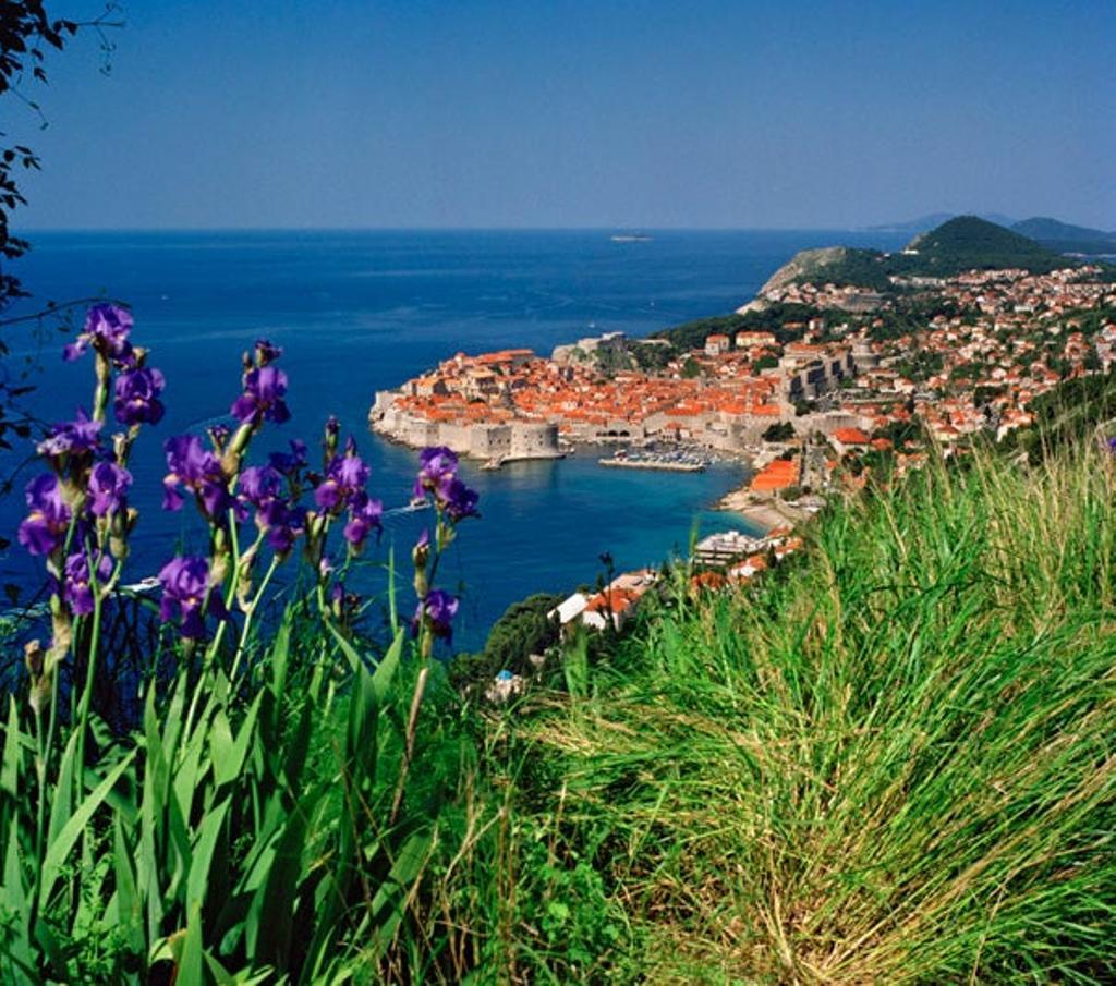 Vista aérea del centro histórico y el antiguo puerto de Duborvnik.