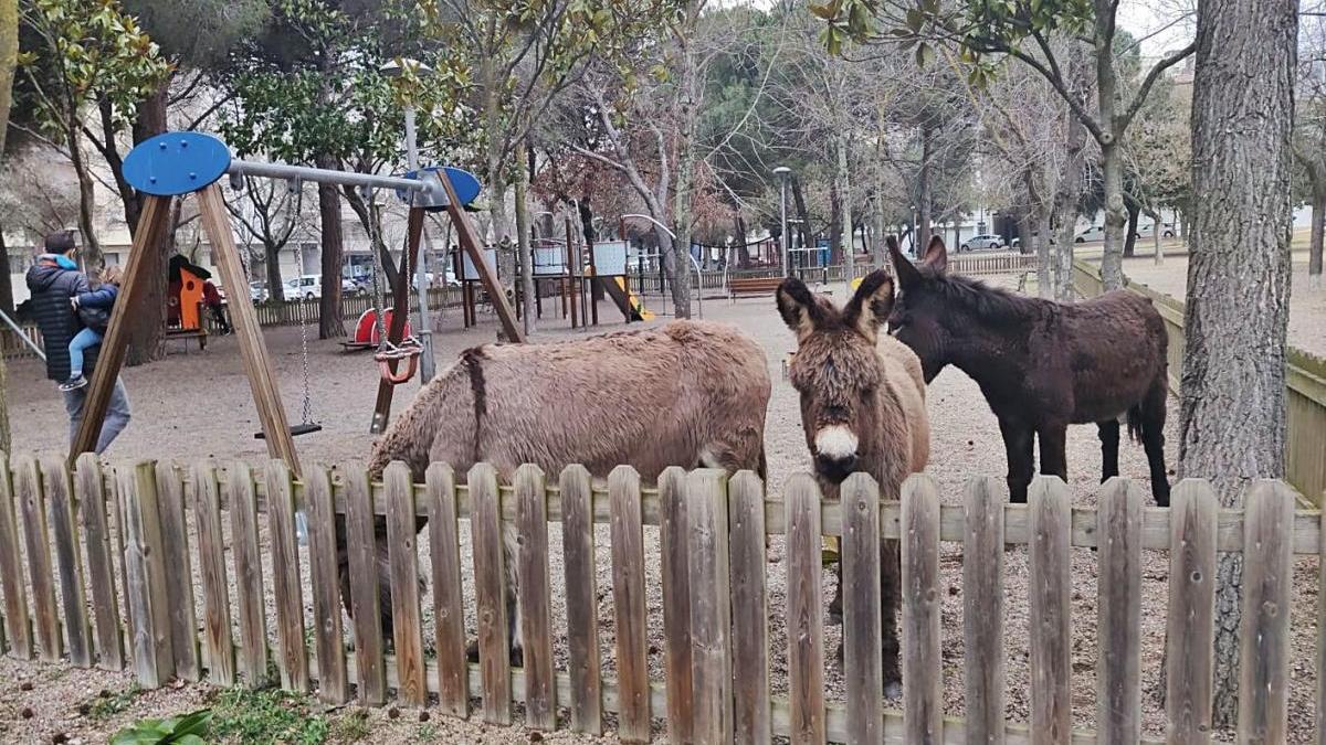 Els tres burros  a l&#039;interior del parc infantil de Vista Alegre.