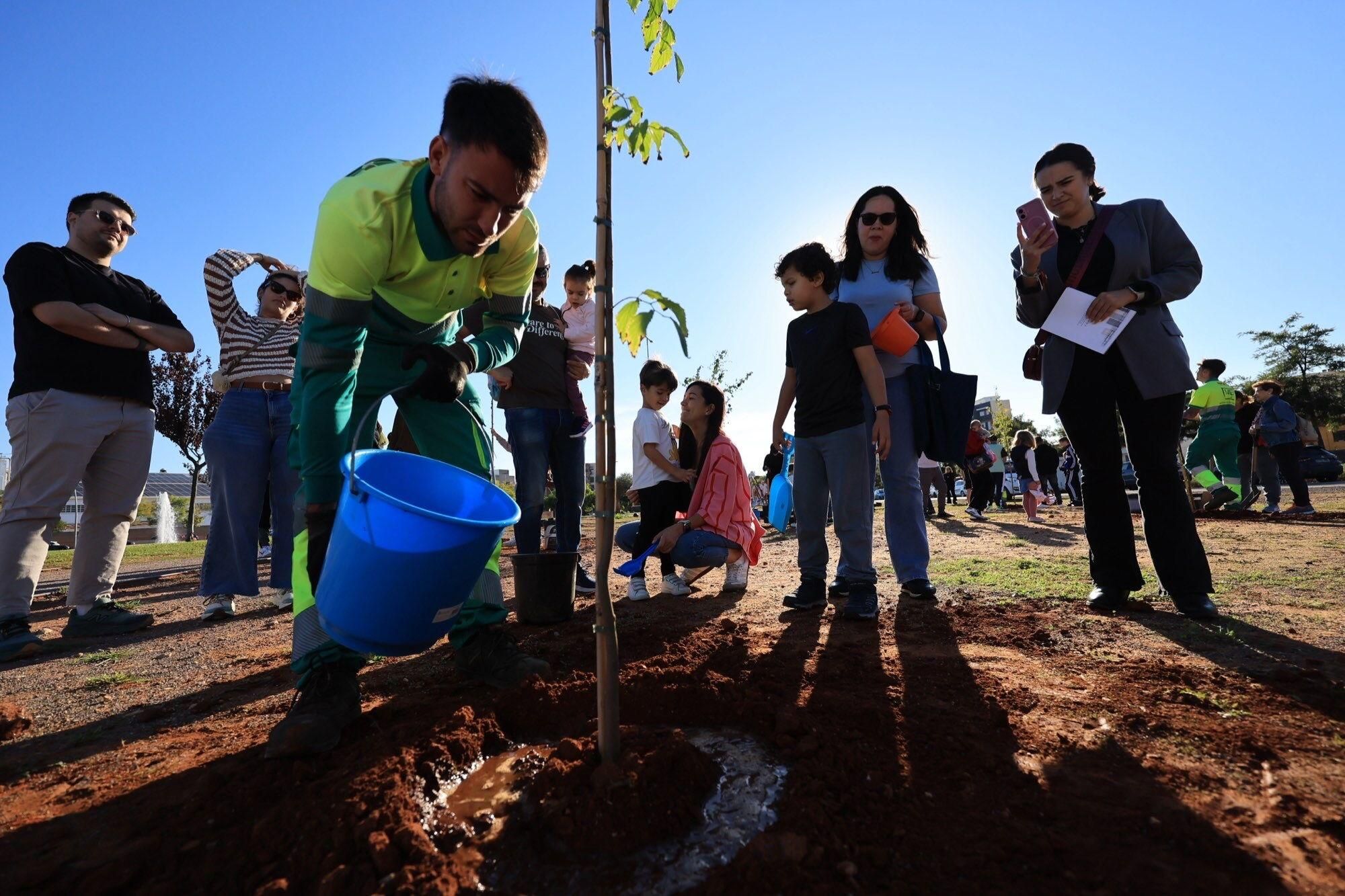  Éxito de la plantación de árboles por parte de personal y familias de Pamesa Grupo Empresarial en la Ciutat Esportiva Municipal de Vila-real que ha tenido lugar en la mañana. de este sábado La acción, que forma parte de la Responsabilidad Social Corporativa del grupo, está incluida en la programación del 20.º Mes de la Sostenibilidad de la Concejalía de Medio Ambiente.