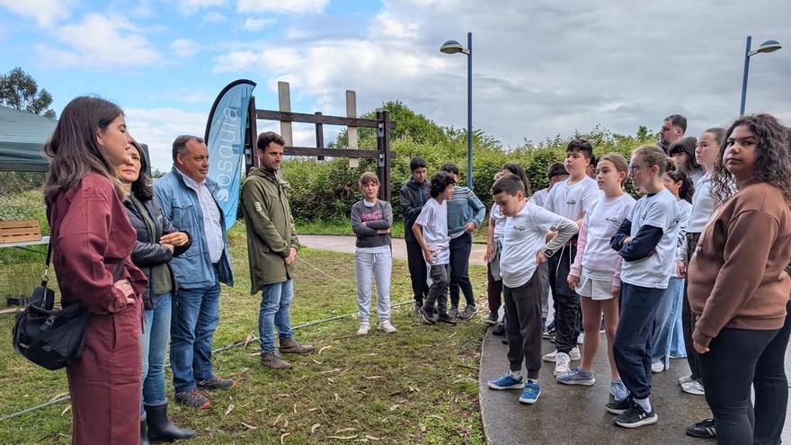 Avilés "respira" 650 nuevos árboles: el Marcelo Gago colabora en el crecimiento del bosque de La Grandiella