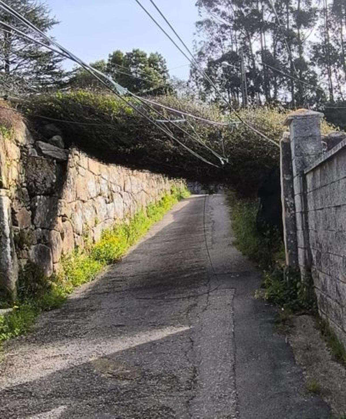 El poste caído, ayer. |