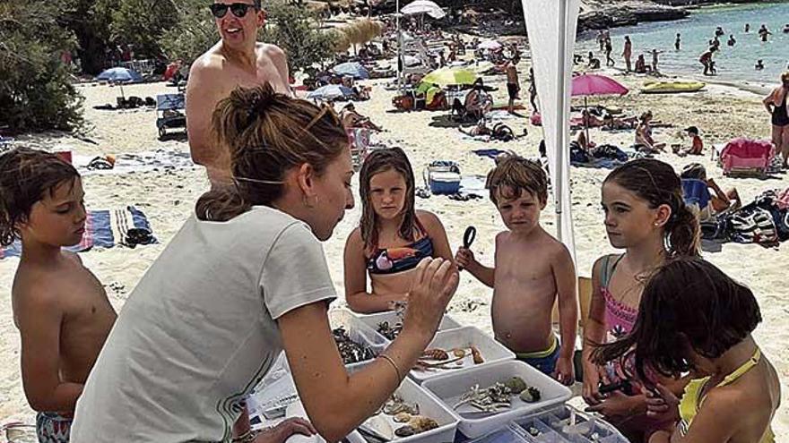 El GOB ha emprendido en la playa de s&#039;Arenal de Portocolom la campaÃ±a sobre la posidonia.