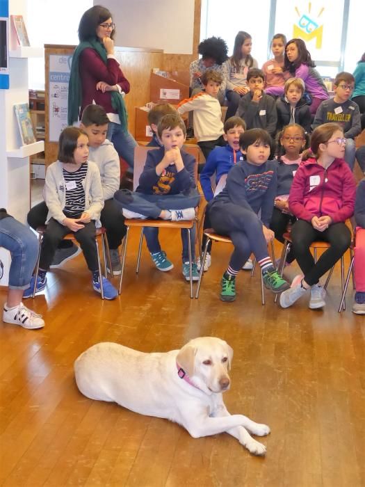 Escolares de Oleiros, por la educación en empatía