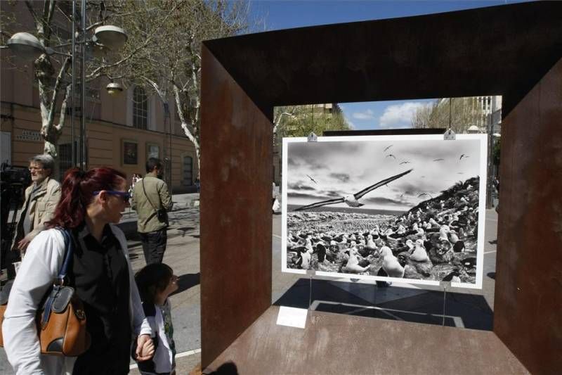 GALERÍA GRÁFICA / 'Génesis', exposición de Sebastiao Salgado en el Bulevar