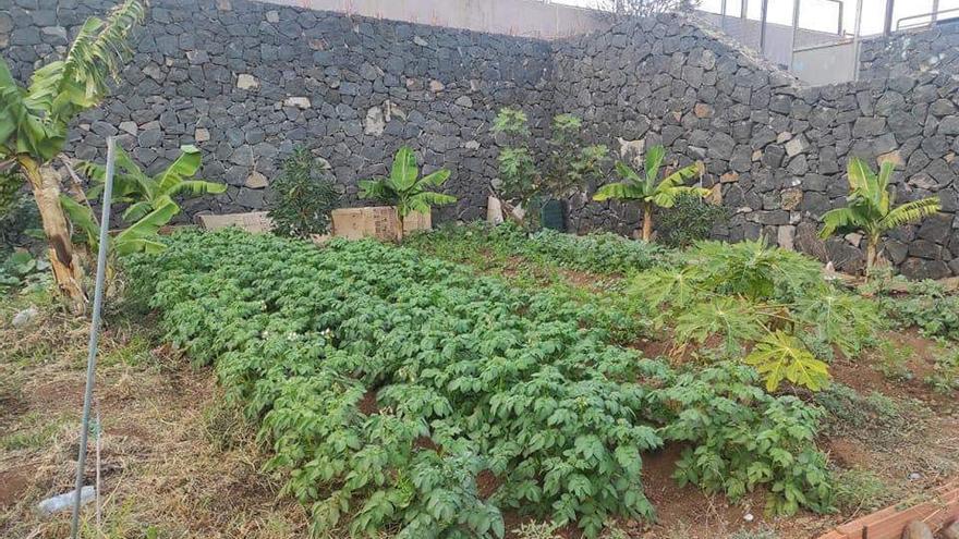 Hoy la clase se da en el huerto ecológico: vuelta al campo en el instituto