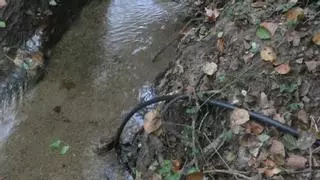 Plantaciones exteriores de marihuana: ladrones de agua en tiempos de sequía