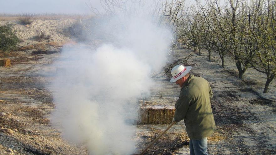 Un agricultor, quemando uno de los rastrojos de una poda.