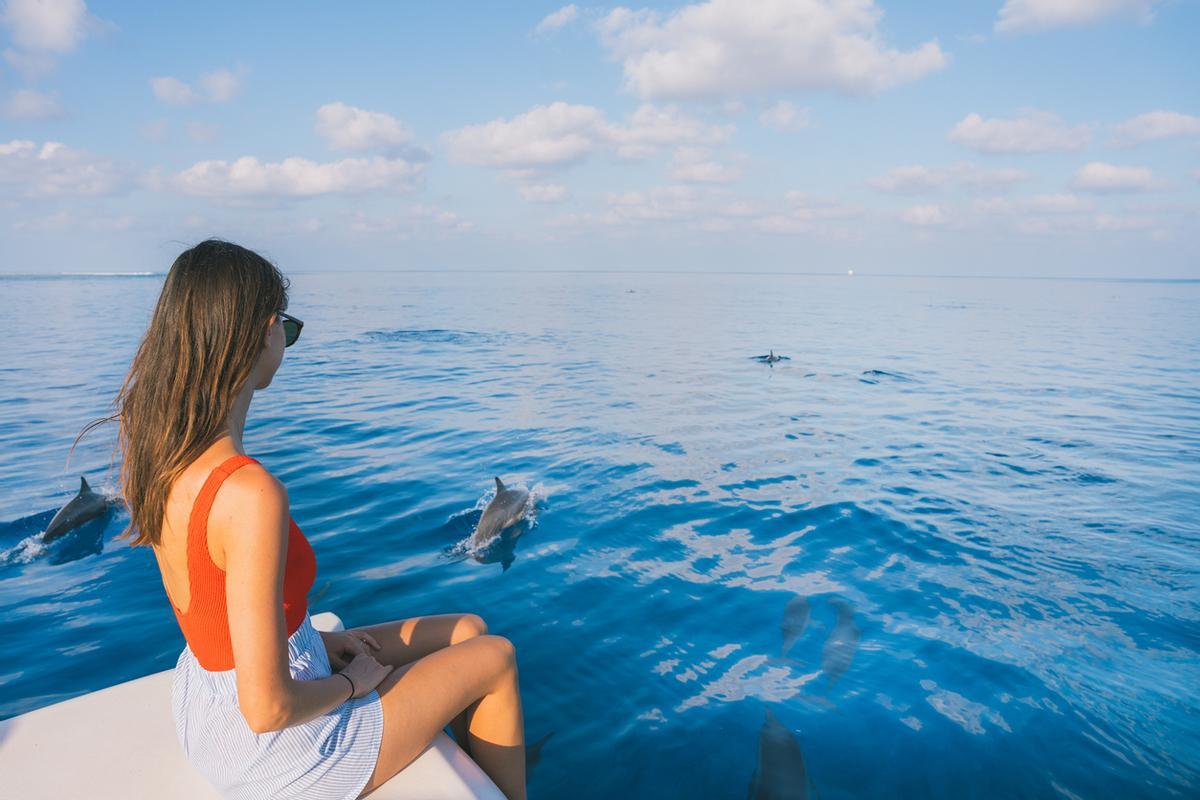 Nadar o avistar delfines en las islas Maldivas es una experiencia mágica. Los mejores puntos para avistar delfines giradores o mulares en libertad son los atolones de Malé Sur, Ari y Lhaviyani