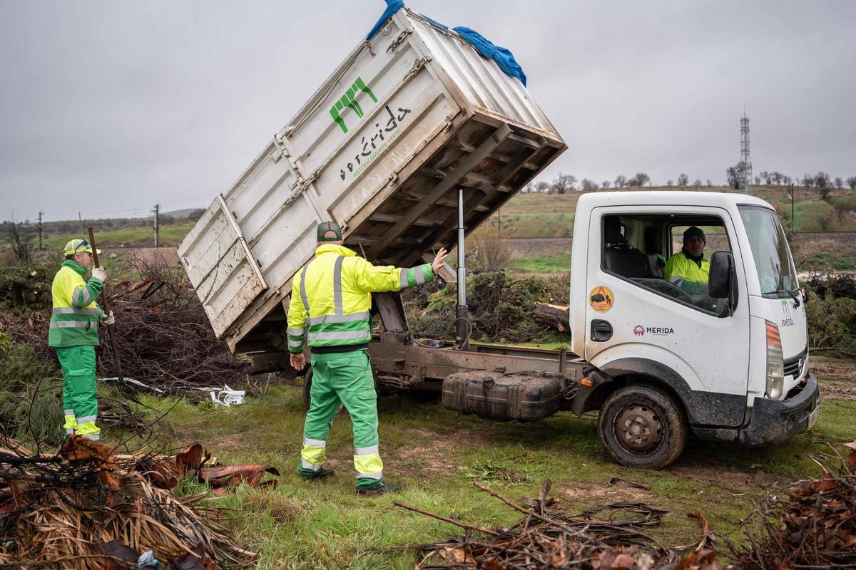 Los trabajos no cesan en la capital extremeña.