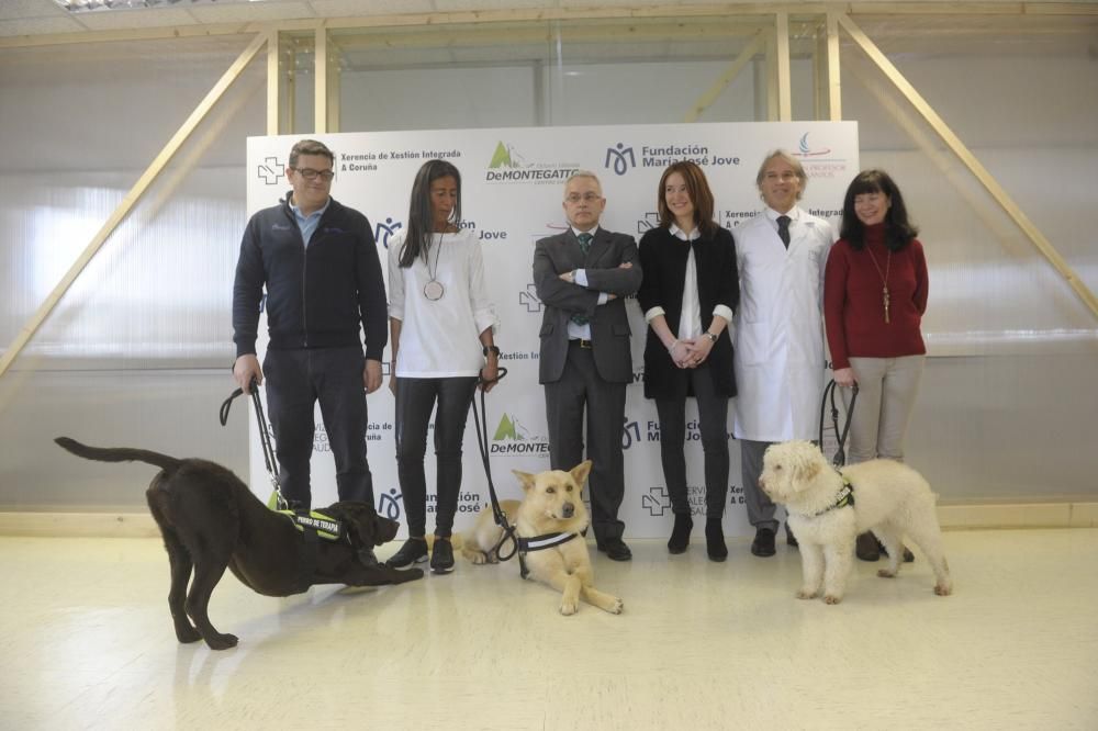 El Materno, pionero en terapia con animales