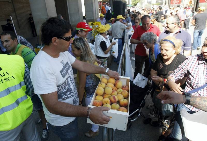 El sector reparte 4.000 kilos de fruta en la Plaza del Pilar